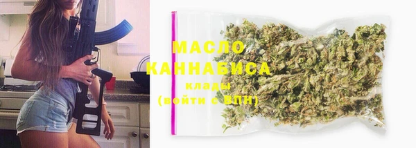 хмурый Инта