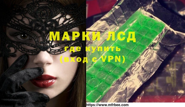 хмурый Инта