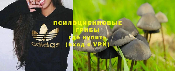 хмурый Инта