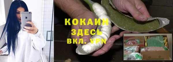 хмурый Инта