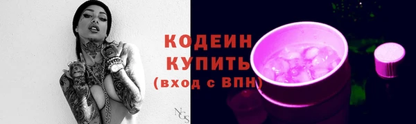 хмурый Инта
