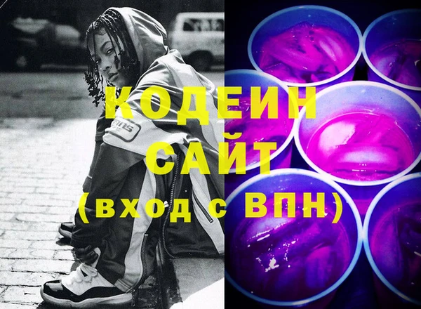 хмурый Инта