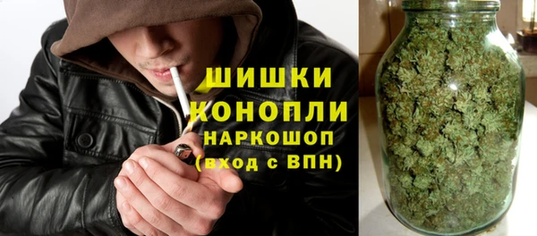 хмурый Инта