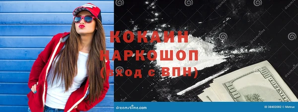 хмурый Инта