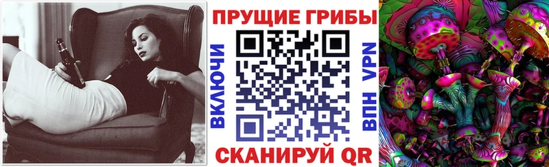 Галлюциногенные грибы Psilocybine cubensis  купить   mega   Киренск 
